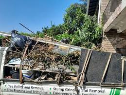 Best Commercial Junk Removal  in Diamond, IL