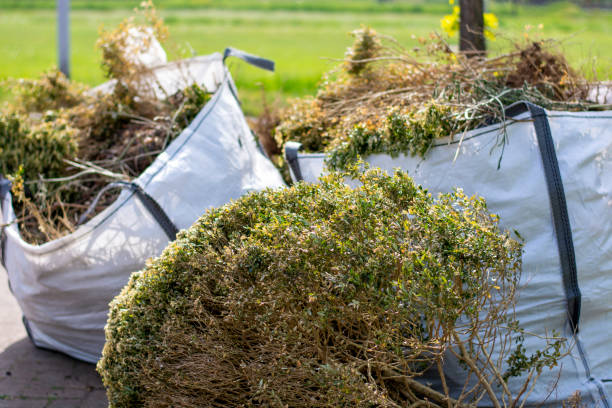 Best Dumpster Rental Services  in Diamond, IL