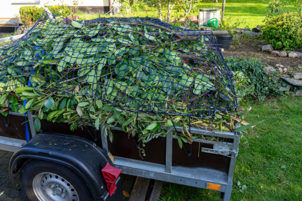 Best Recycling Services for Junk  in Diamond, IL